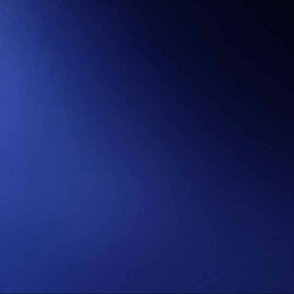 Meet your Posher, Lulu - Picture 1 of 1